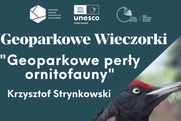 Krzysztof Strynkowski