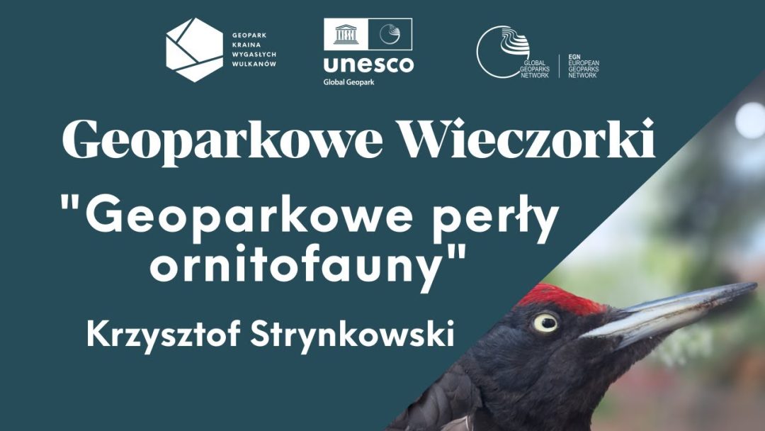 Krzysztof Strynkowski
