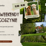 Fundacja Marysieńka